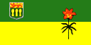 Sask Flag